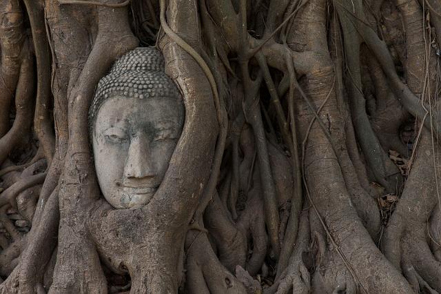 50 Ayutthaya, Phra Mahathat Tempel.jpg